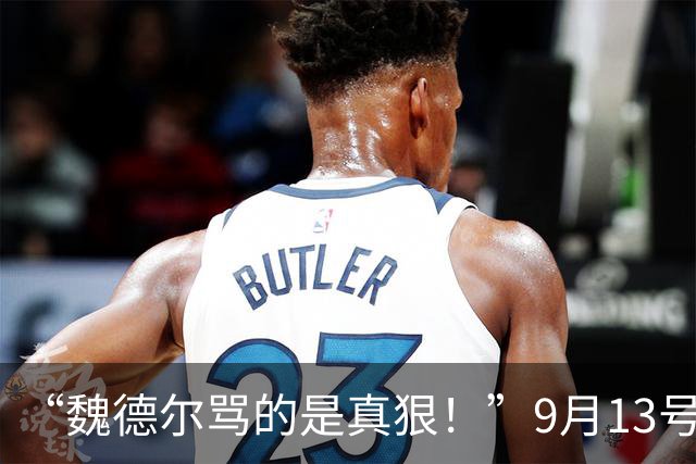 “魏德尔骂的是真狠！”9月13号，魏德尔在奥地利电视台放话：