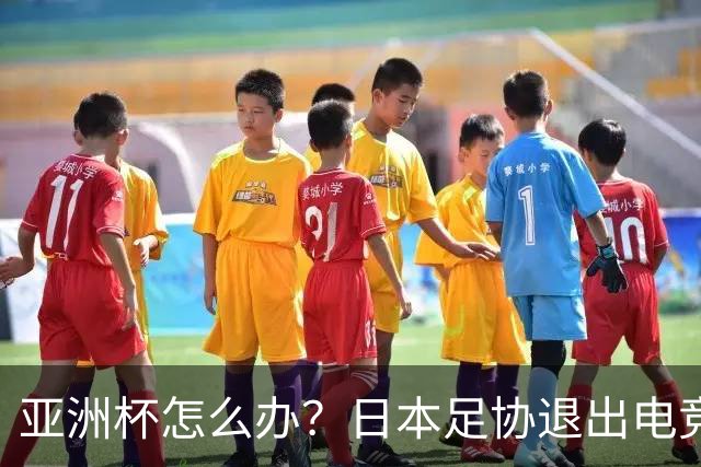 亚洲杯怎么办？日本足协退出电竞世界杯 因沙特局势日益紧张