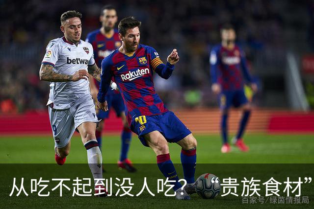 从吃不起到没人吃？“贵族食材”鲍鱼价格大跌，它到底经历了什么