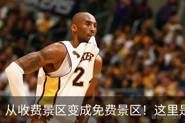 从收费景区变成免费景区！这里是北京最江南的博物馆，冬天也像在苏州！