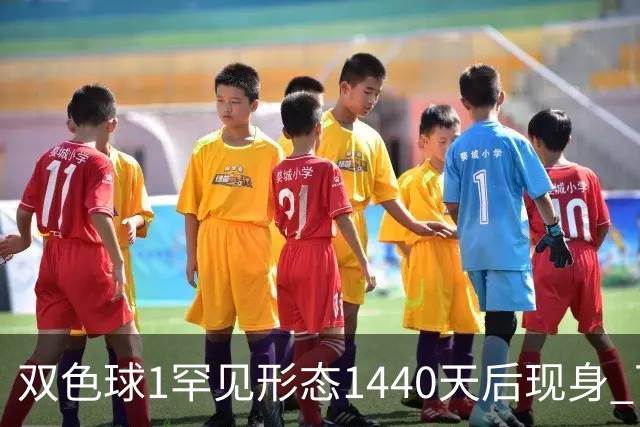 双色球1罕见形态1440天后现身 下期龙头凤尾稳了