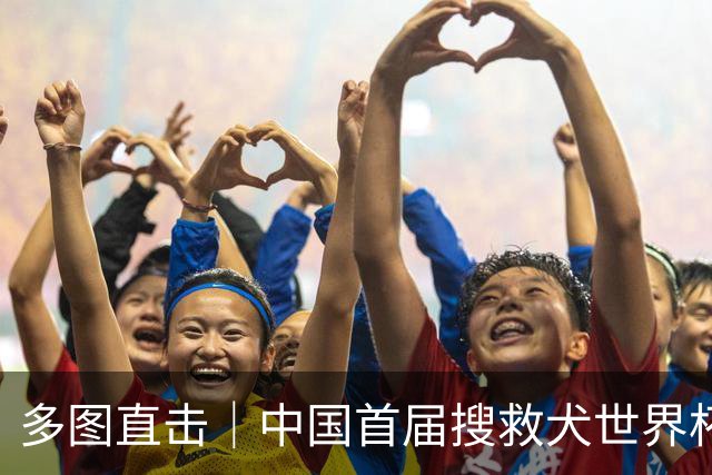 多图直击｜中国首届搜救犬世界杯，人犬搭档大“比武”