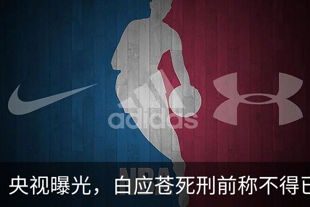 央视曝光，白应苍死刑前称不得已，蛇蝎美人白应兰落网近在咫尺