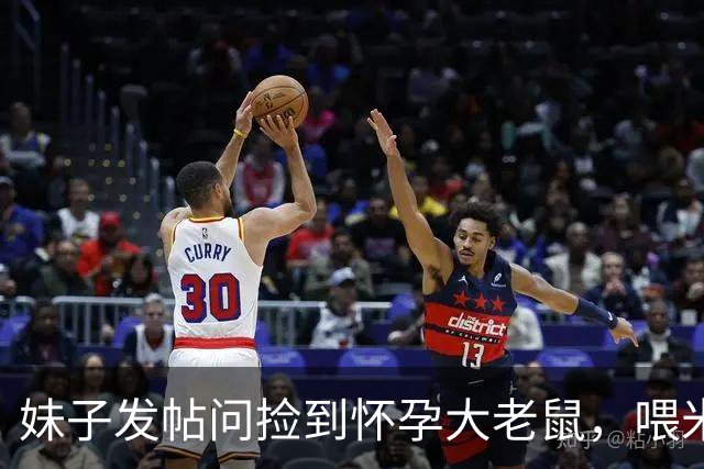 妹子发帖问捡到怀孕大老鼠，喂米饭也不吃咋办？德文气哭：你全家都是老鼠！