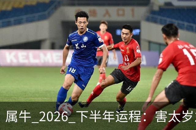 属牛 2026 下半年运程：害太岁之年，能否翻身，有没有横财运？