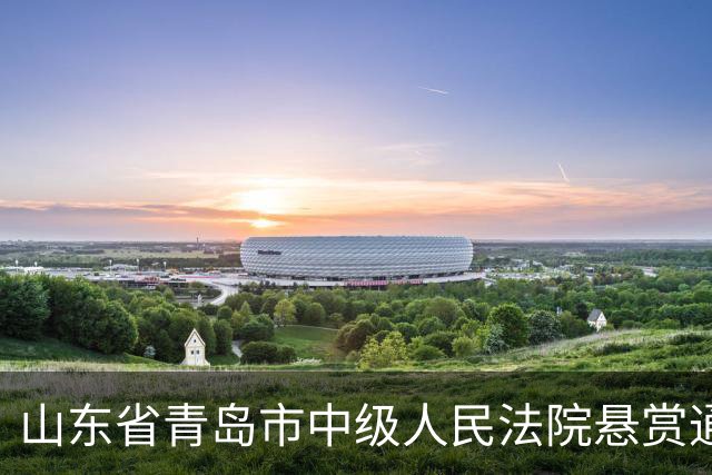 山东省青岛市中级人民法院悬赏通告