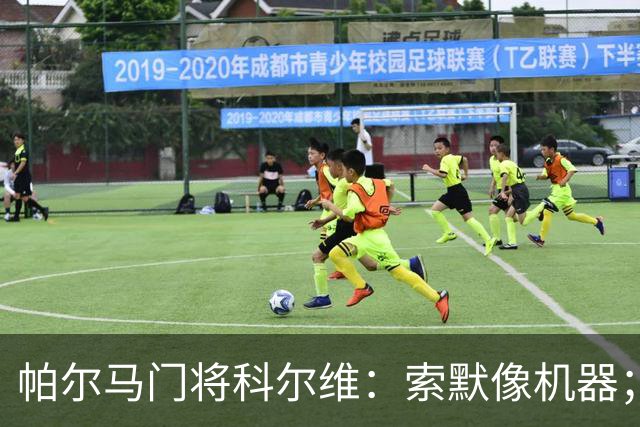 帕尔马门将科尔维：索默像机器；遗憾奎斯塔的遭遇
