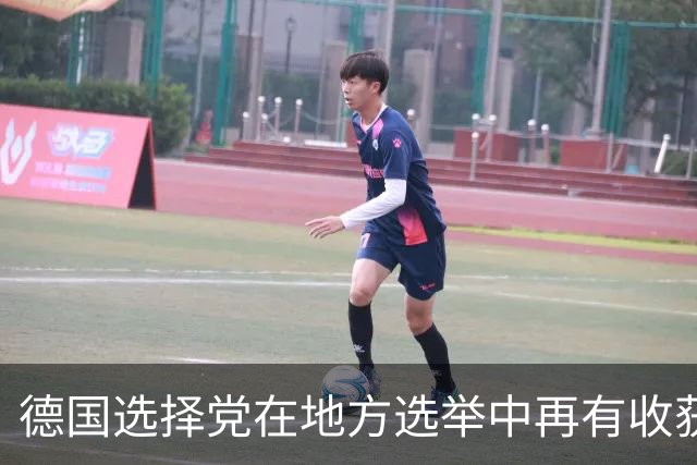 德国选择党在地方选举中再有收获，魏德尔离总理宝座又近一步