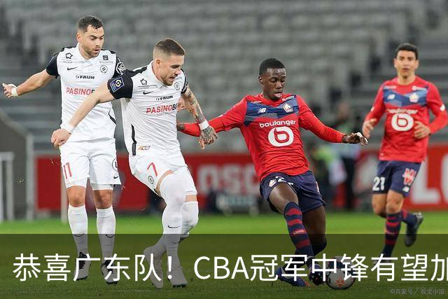 恭喜广东队！CBA冠军中锋有望加盟，徐杰将迎来最佳搭档？