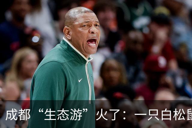 成都“生态游”火了：一只白松鼠网络“走红”，外地游客“打飞的”观鸟