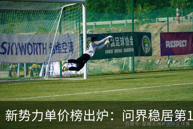 新势力单价榜出炉：问界稳居第1，小米才排第9，3个界排进前五