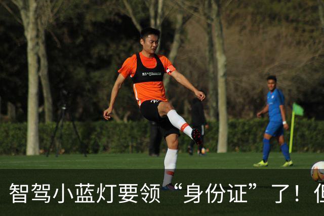 智驾小蓝灯要领“身份证”了！但L3级以上才能装：颜色还得改成蓝绿色
