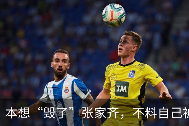 本想“毁了”张家齐，不料自己被扒了个底朝天，经纪人这招太狠了