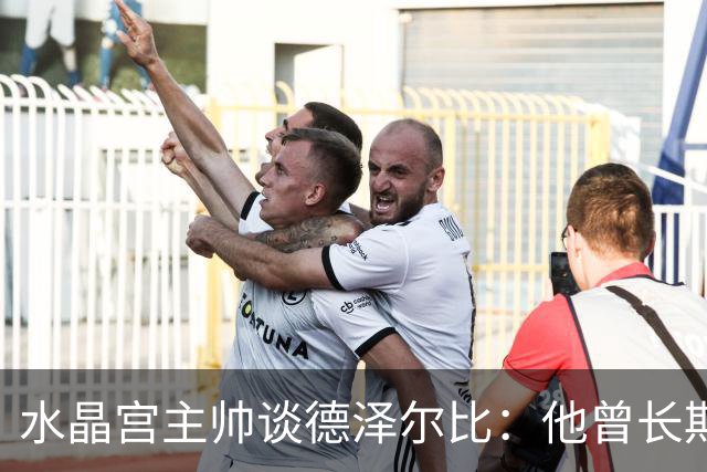 水晶宫主帅谈德泽尔比：他曾长期是我的榜样 向他学习过如何踢球