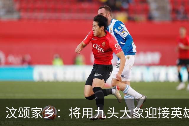 汶颂家乡：将用九头大象迎接英雄凯旋 他月底战全锦赛冲击苏谢纪录