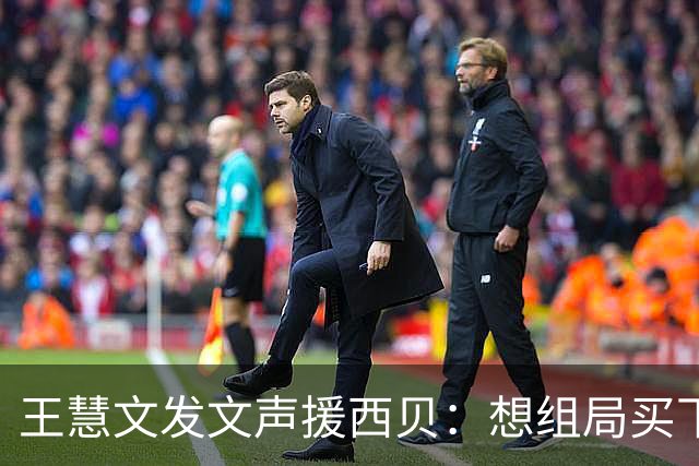 王慧文发文声援西贝：想组局买下来！评论区立马有人给老王出主意