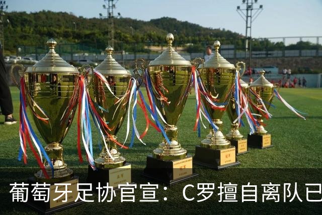 葡萄牙足协官宣：C罗擅自离队已严重违纪！禁赛30天+罚款255欧元
