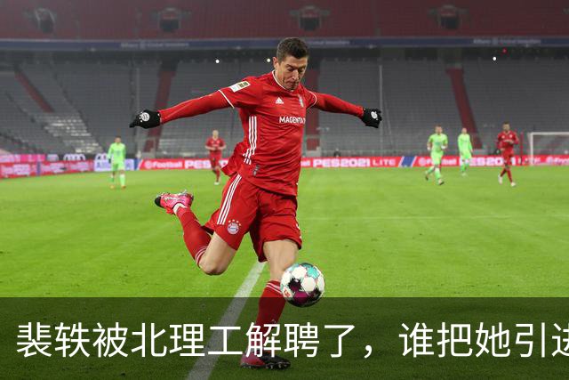 裴轶被北理工解聘了，谁把她引进来的还没搞清楚？她背后又有哪些人？