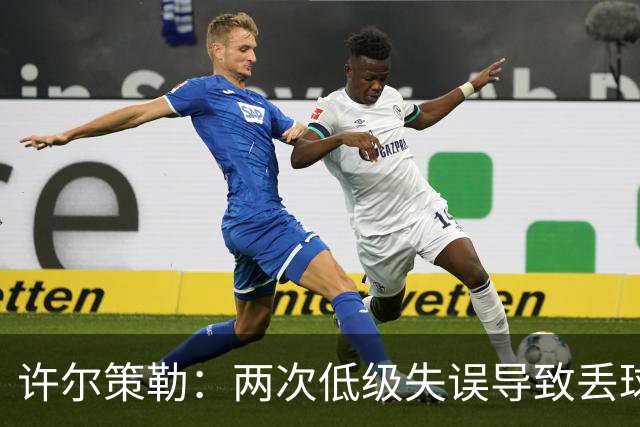 许尔策勒：两次低级失误导致丢球，我们也没能把握住机会