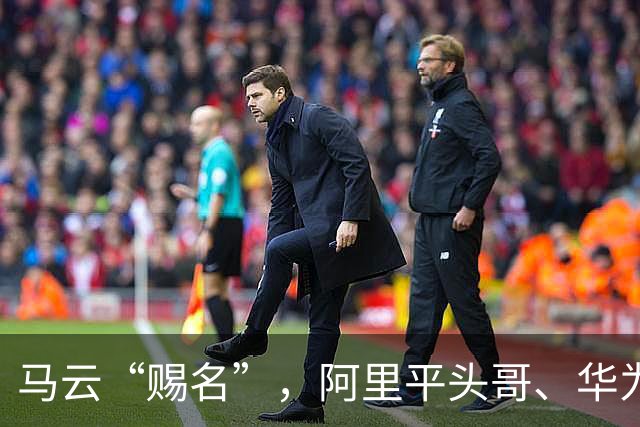 马云“赐名”，阿里平头哥、华为超越英伟达，成国产芯片“双寡头”