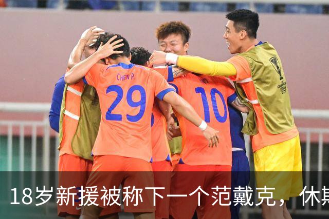 18岁新援被称下一个范戴克，休斯离任前这笔赌注要兑现了