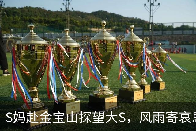S妈赴金宝山探望大S，风雨寄哀思，言语间满是母亲的牵挂